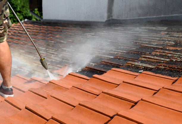 Best Deck Cleaning Services  in Severance, CO