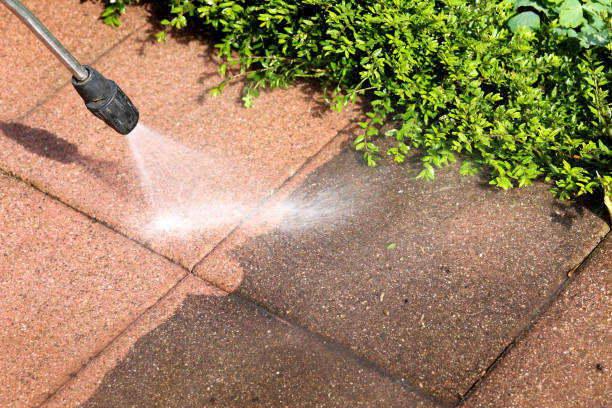 Best Fence Pressure Washing  in Severance, CO